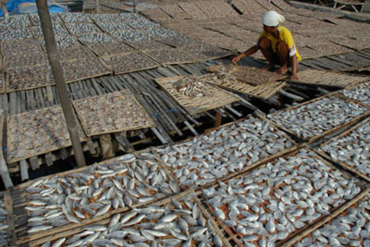 Perajin ikan kering sulit tingkatkan produksi