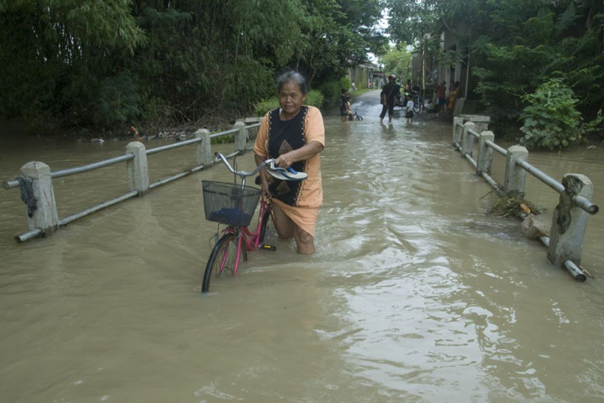  Kekeringan Bengawan Solo Di Hilir Belum Teratasi 