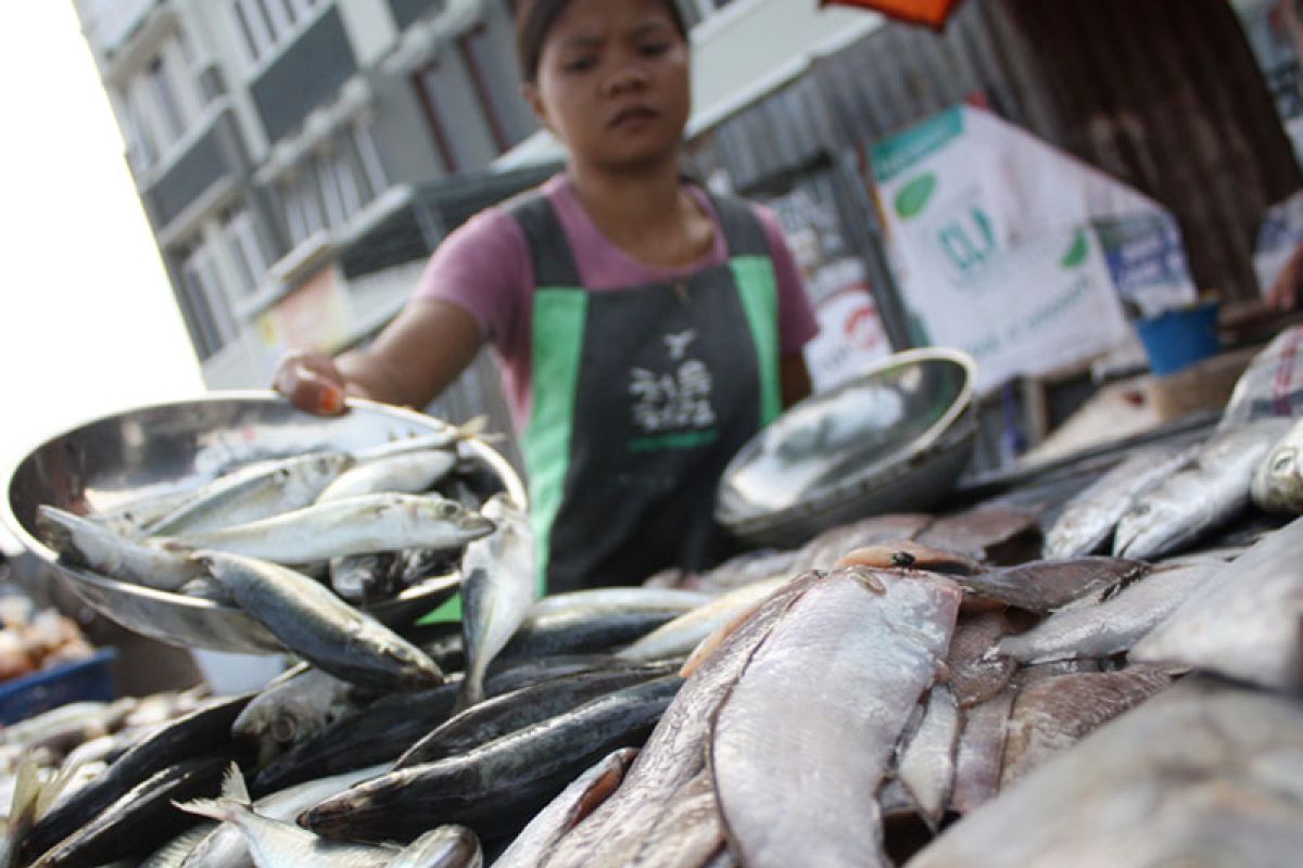 Harga ikan laut naik 50 persen