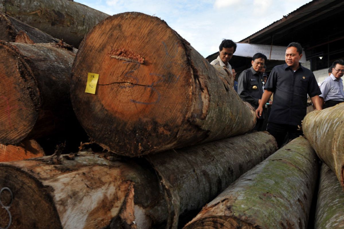 Rakyat mampu topang kebangkitan industri kayu
