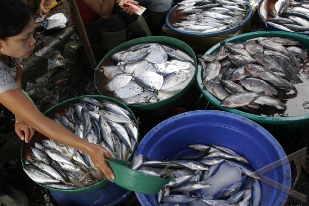 Nelayan keluhkan beredarnya ikan impor di Pekalongan