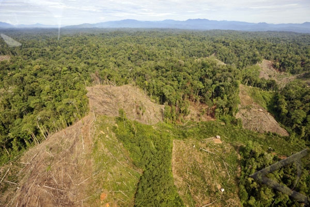 RI-AS sepakati perjanjian untuk konservasi hutan Kalimantan 