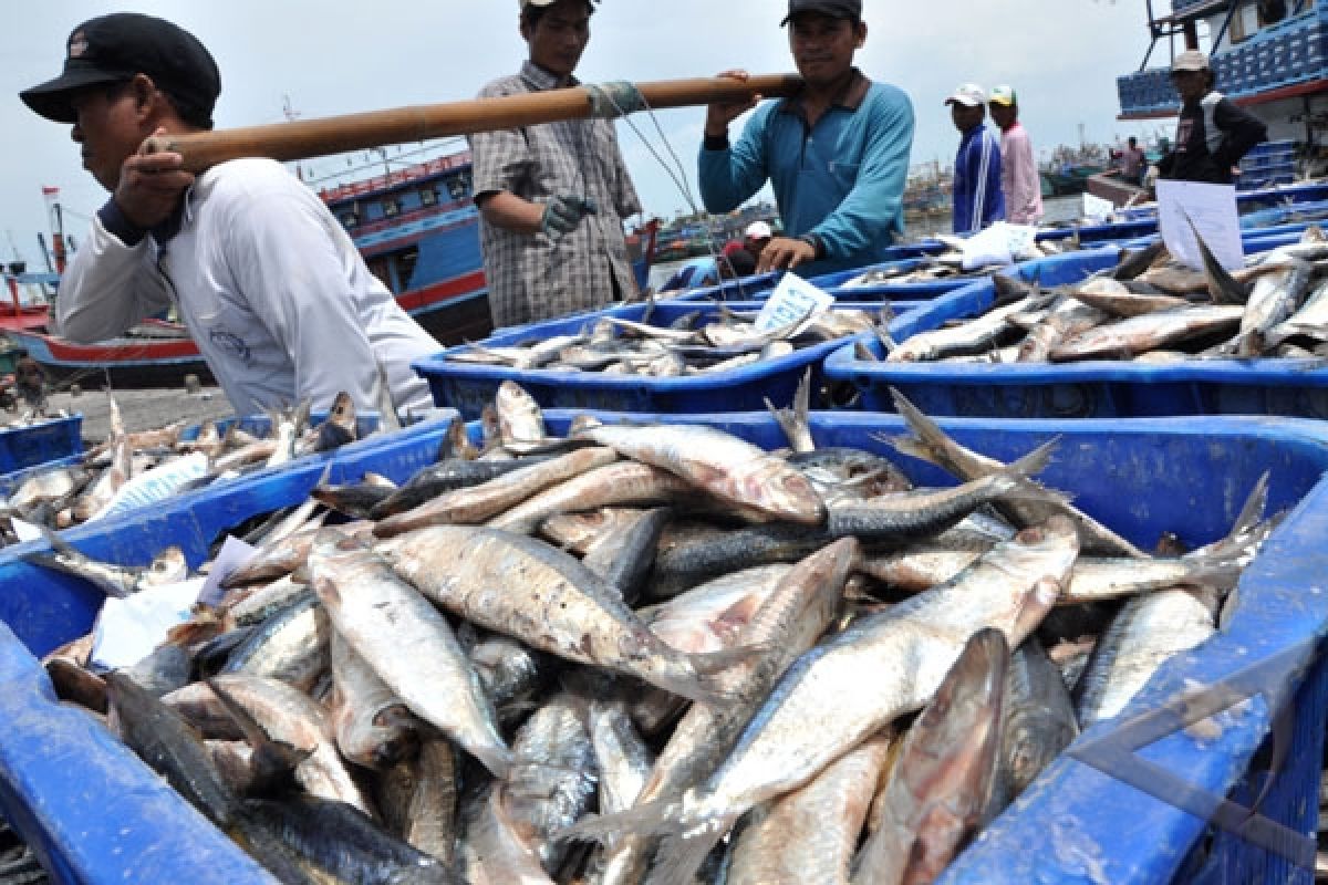 Nelayan Rupat Jual Ikan ke Malaysia