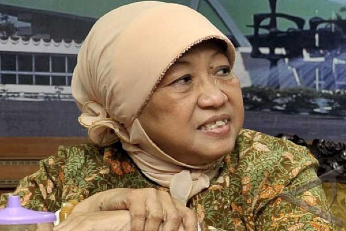 Lily Wahid Senang Diberhentikan dari Pengurus PKB