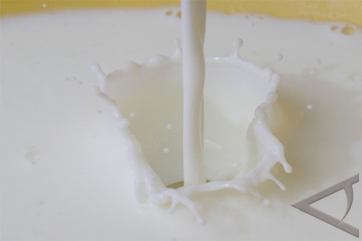 IPB Belum Mau Umumkan Susu Formula Berbakteri