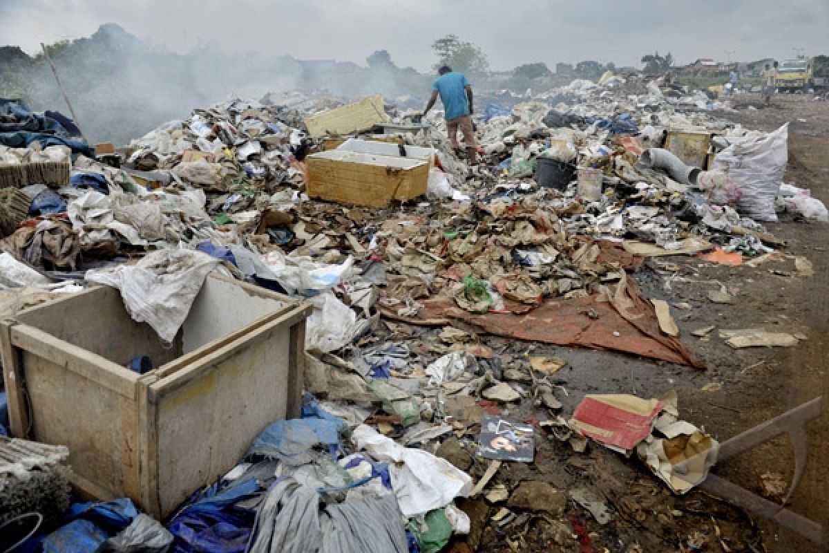 Mengonsumsi Sampah Berbahaya Melalui Sapi 