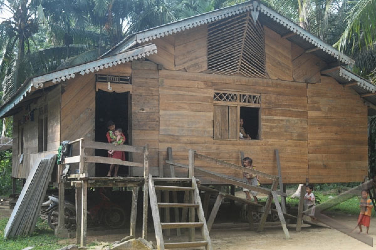 Menyibak tabir gawai gedang suku Talang Mamak (bagian 1) 