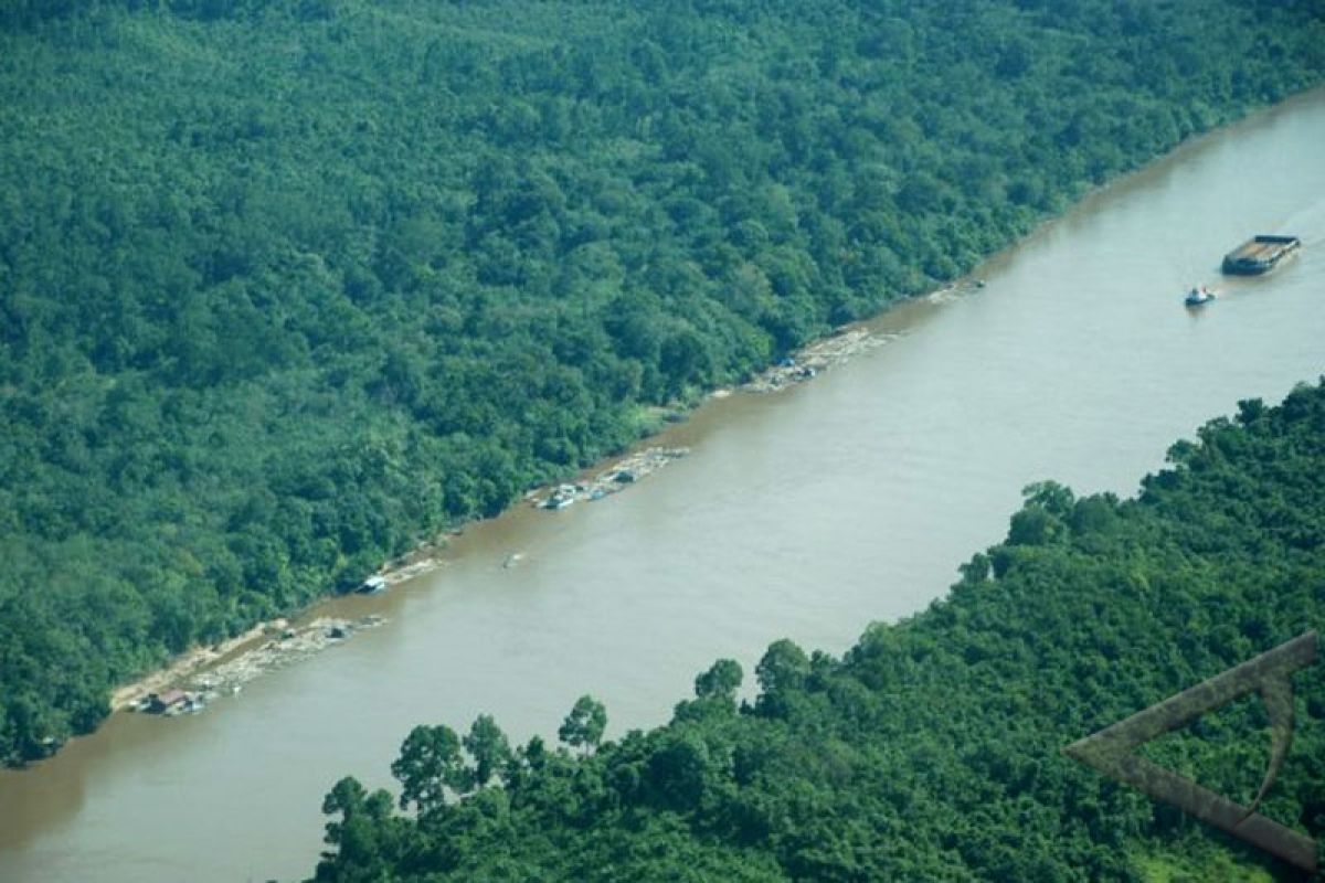 Kandungan Merkuri di Sungai Barito Berkurang 