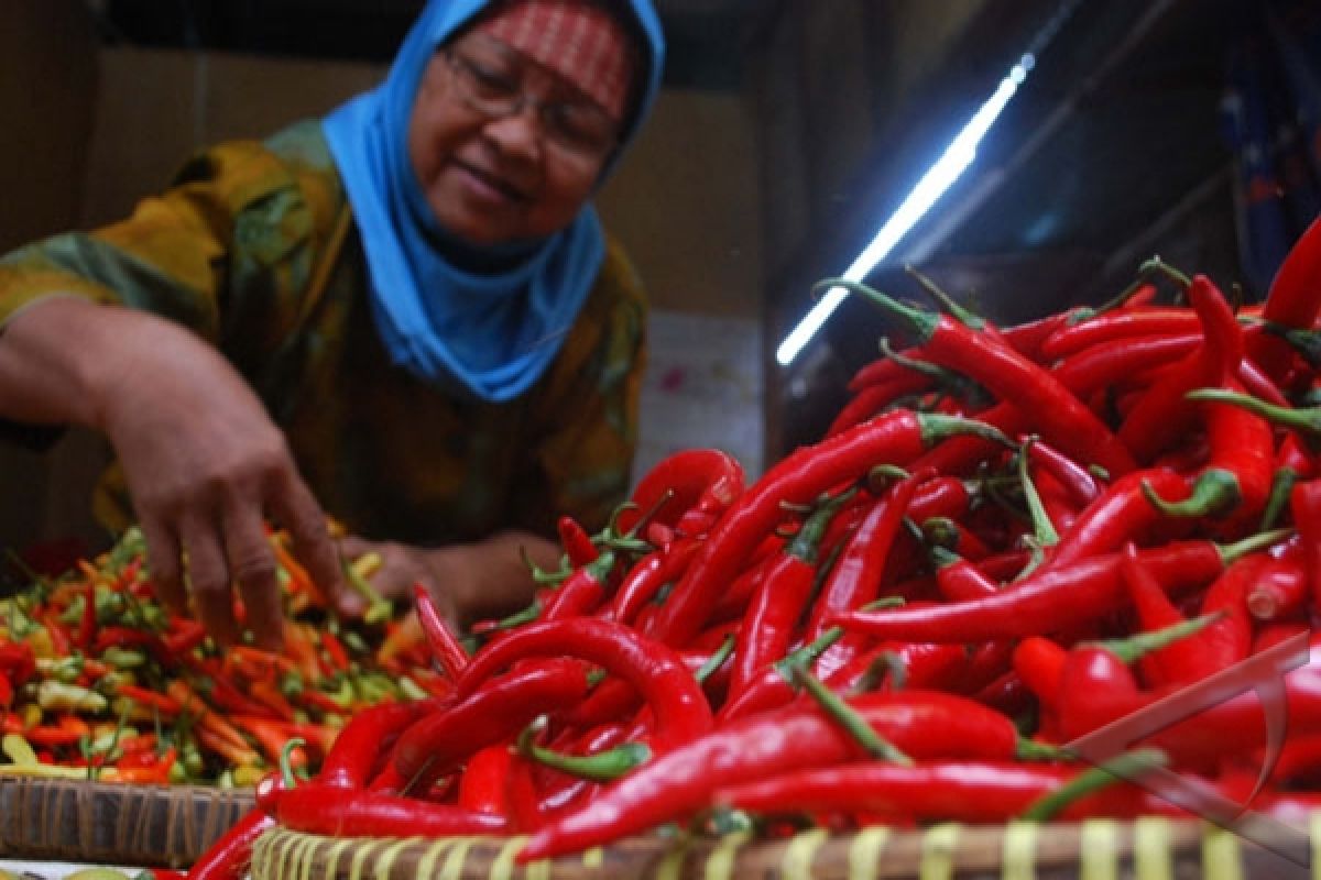 Chili replacing onion in creating market uproar