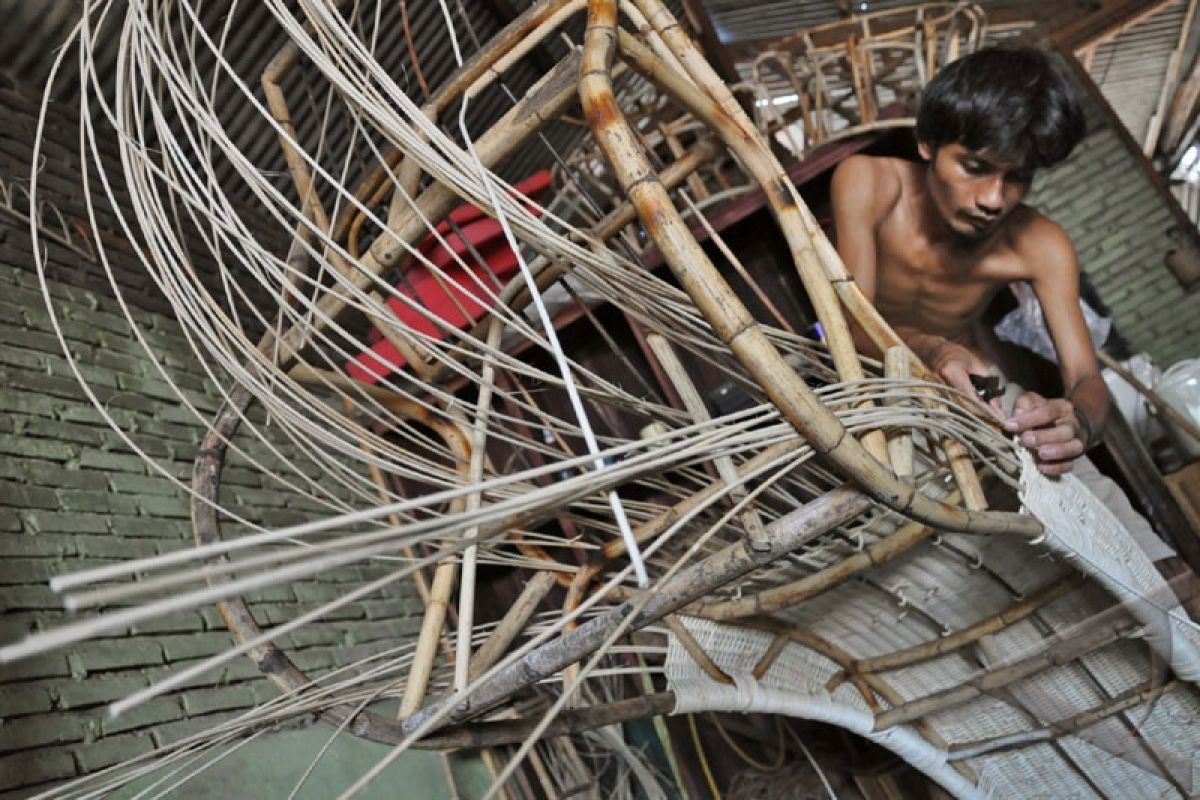 Rattan farmers to stage demonstration against export ban