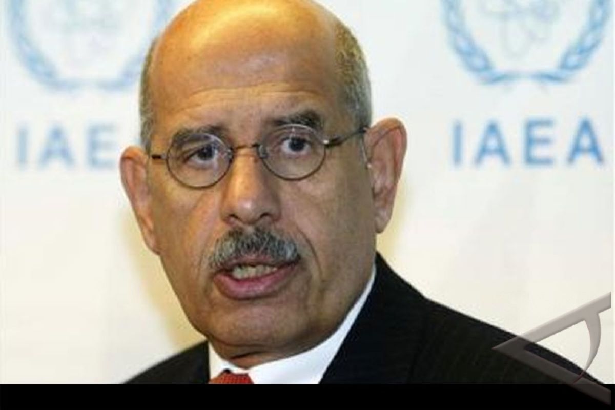 Egypt`s Elbaradei Says Won`t Run for President - Paper