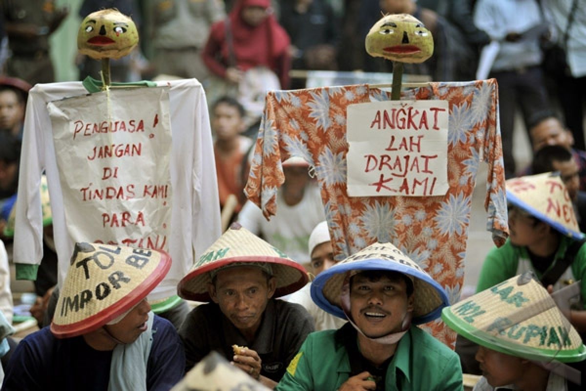 Naik, Harga Beras Impor Di Kupang