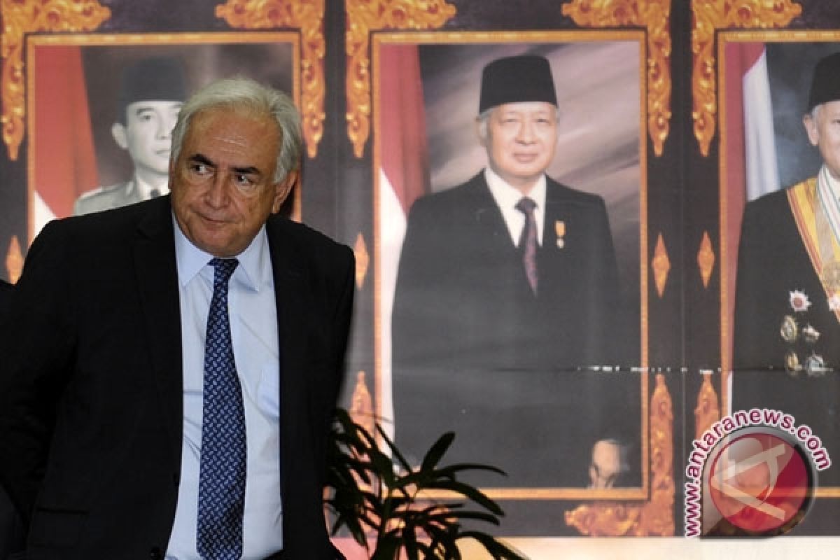 Strauss-Kahn Dituduh Penulis Prancis Melakukan Penyerangan Seksual