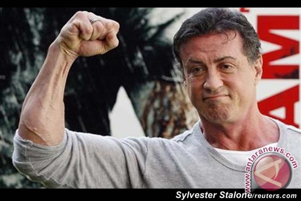 Sylvester "Rambo" Stallone Beraksi Kembali 