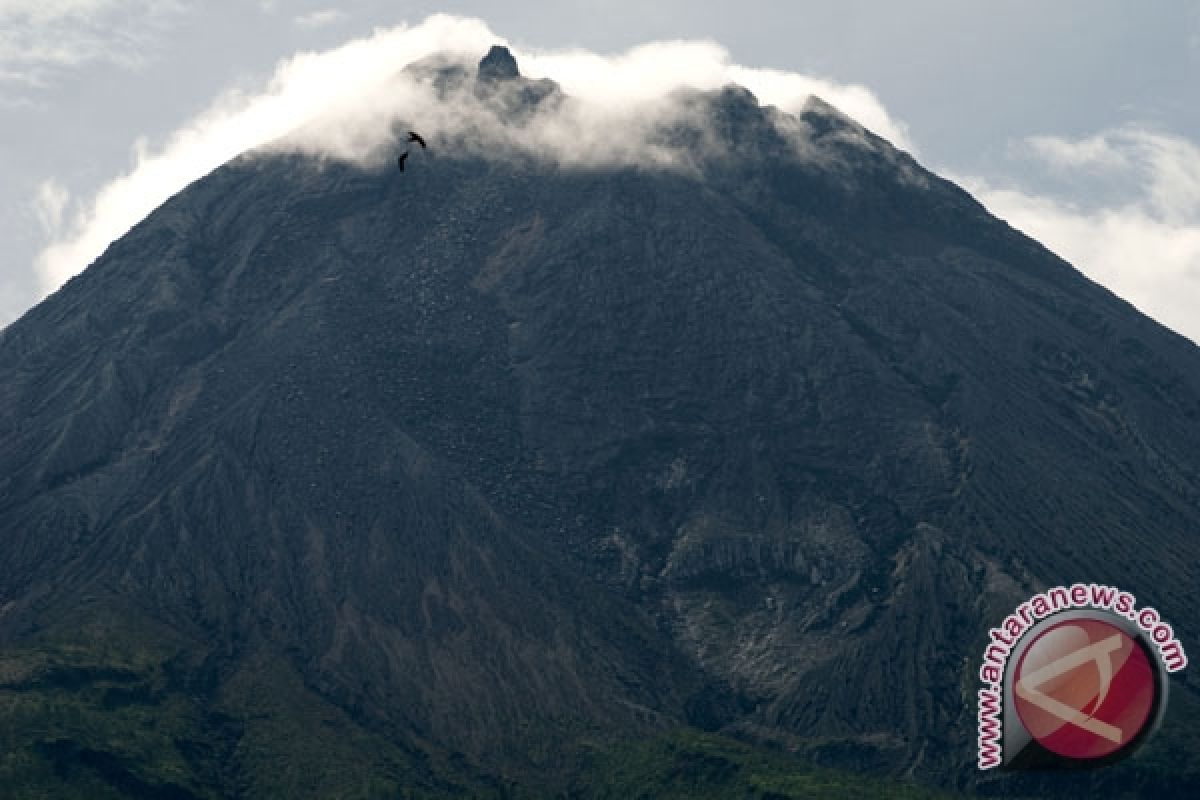 Kerugian Ekonomi Akibat Merapi Rp1,23 Triliun 