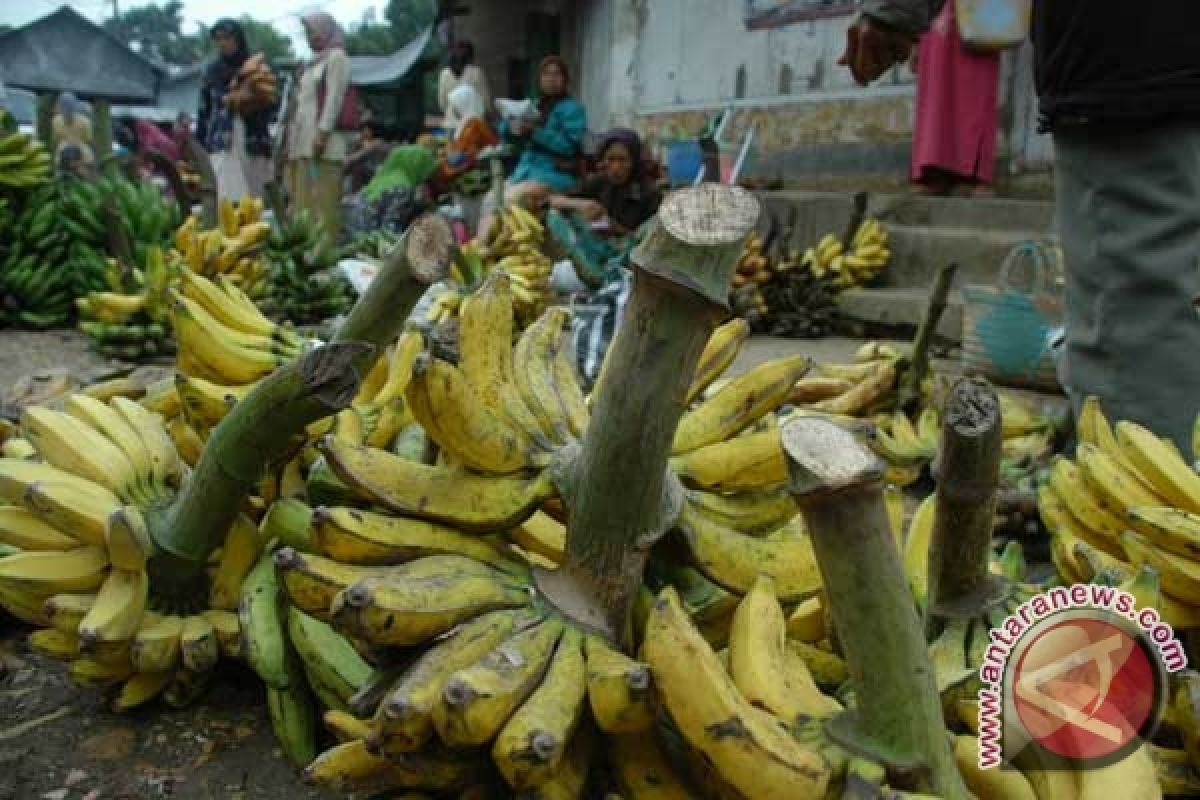 Manfaat Makanan Berserat bagi Jantung