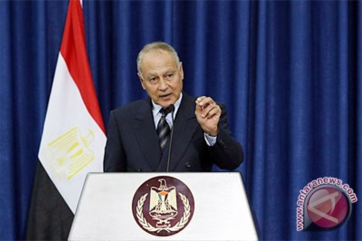 Egyptian FM accuses U.S. of imposing will