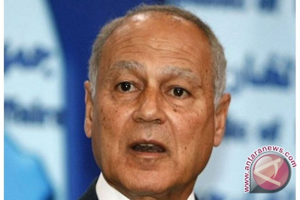 Egyptian fm warns of military intervention to end protests