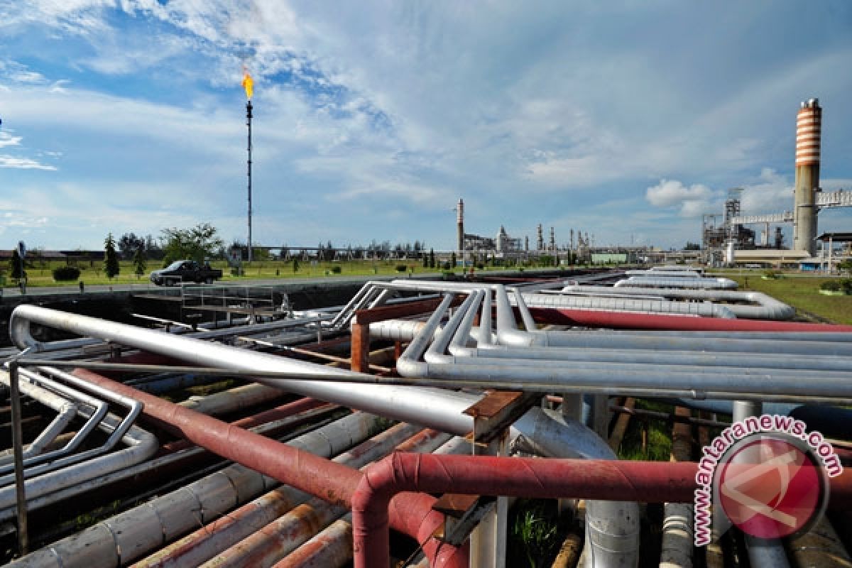 Indonesia competitiveness of gas industry needs improvement: Academician