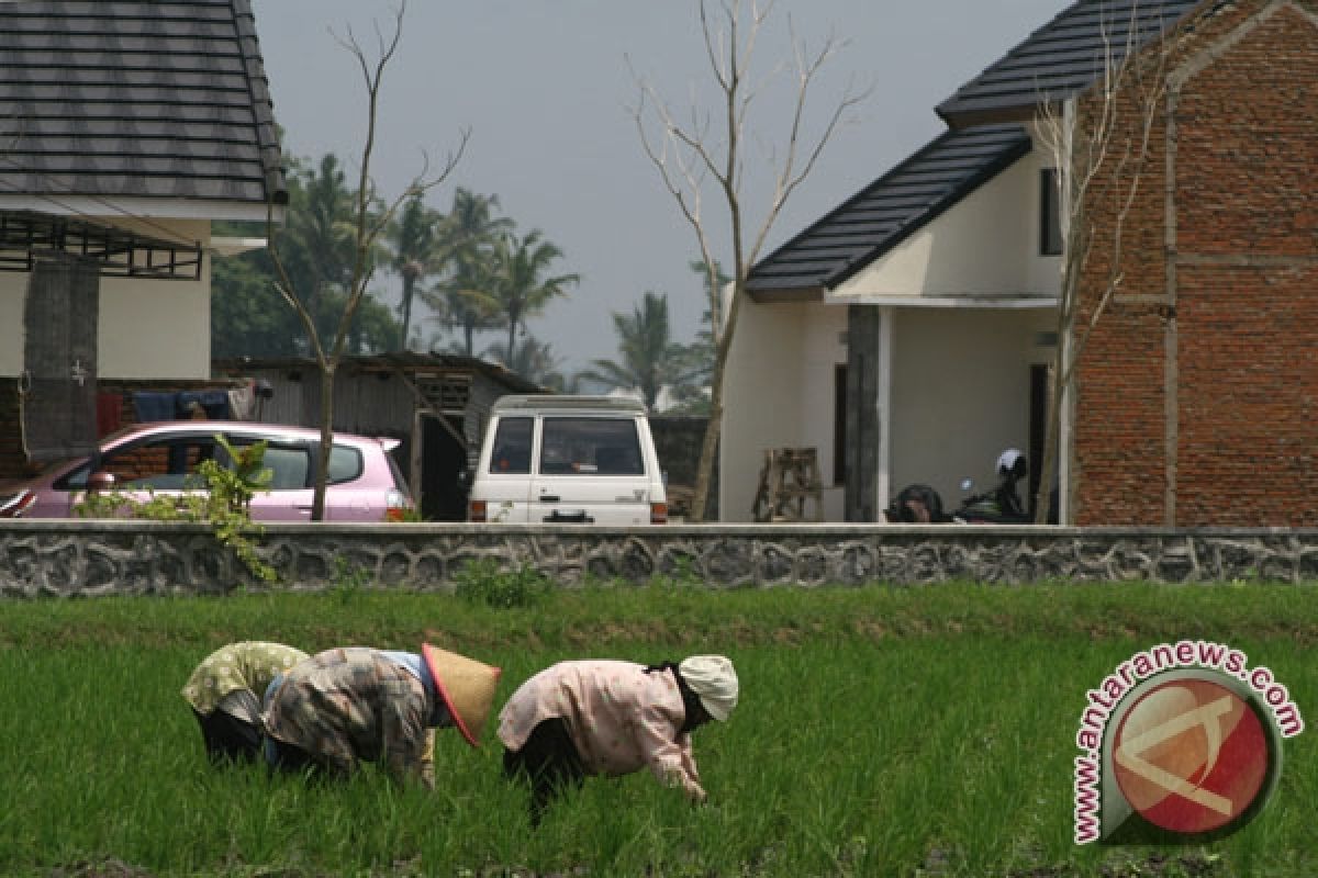Pemkab Malang perketat alih fungsi lahan pertanian