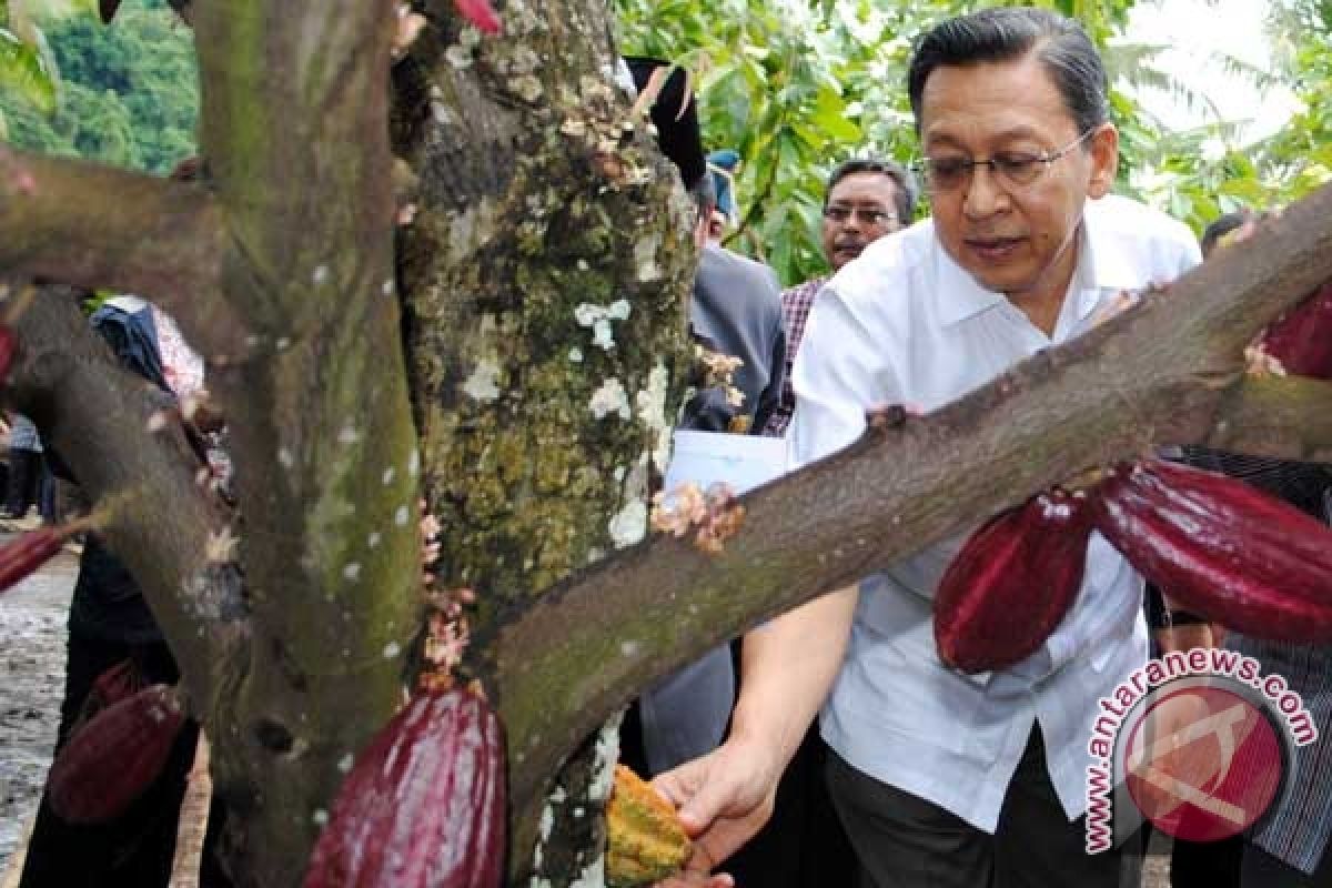 Wapres: Indonesia Harus Bisa Bangun Industri Pengolahan Kakao