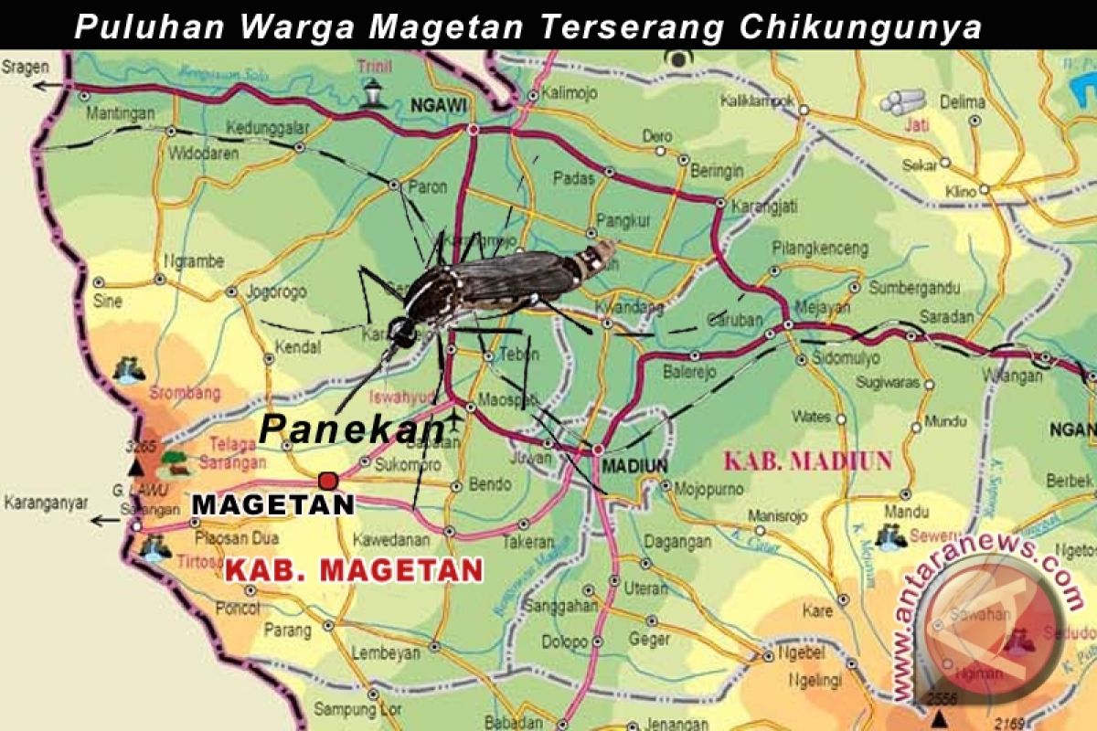 Puluhan Warga Magetan Terserang Chikungunya