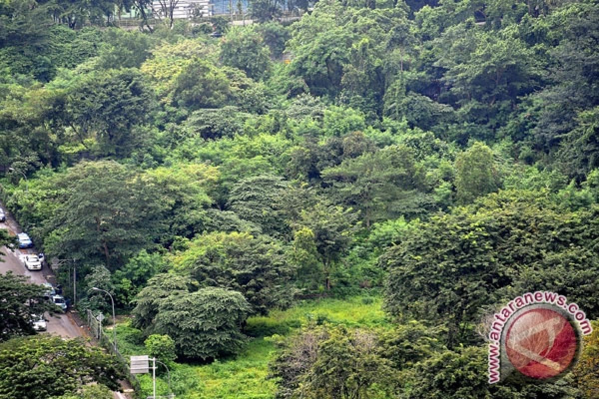 Kota Bogor akhirnya memiliki hutan kota