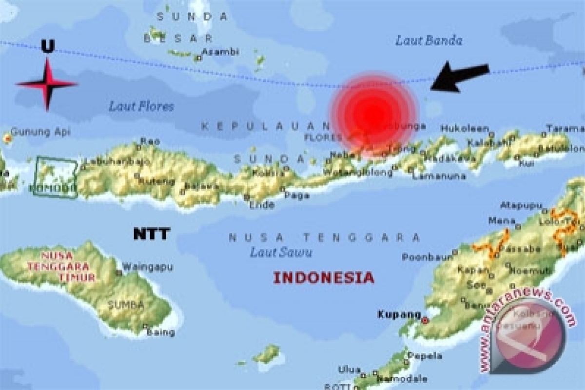 Gempa 6,2 SR guncang NTT