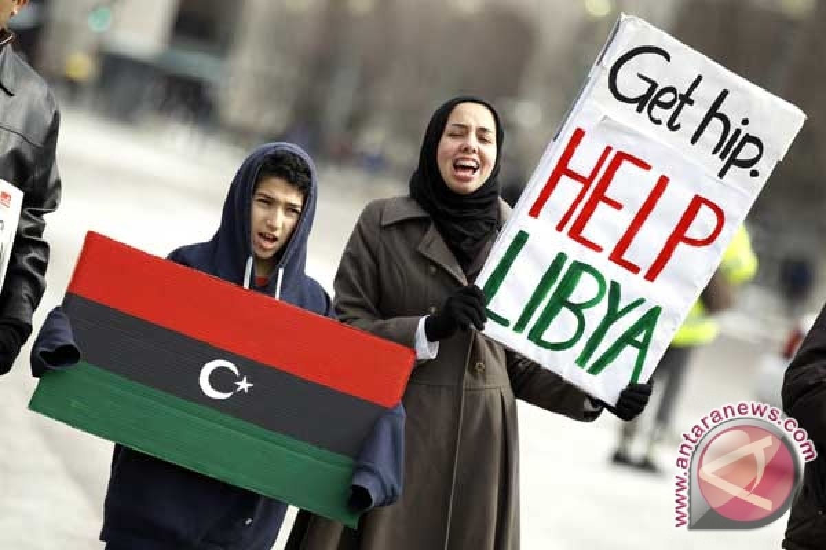 Libyan UN envoy supports caretaker government