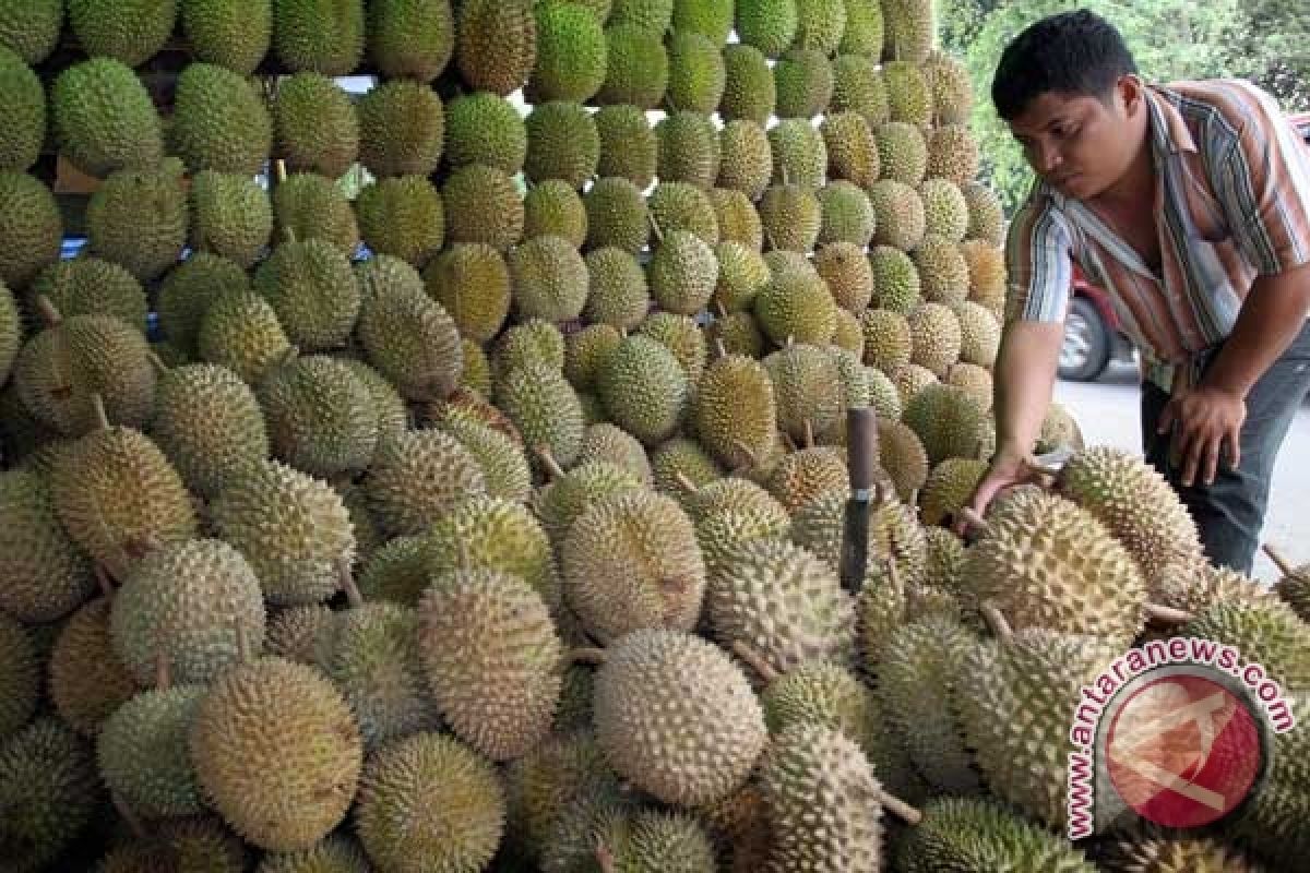 Buah durian banjiri Bandarlampung