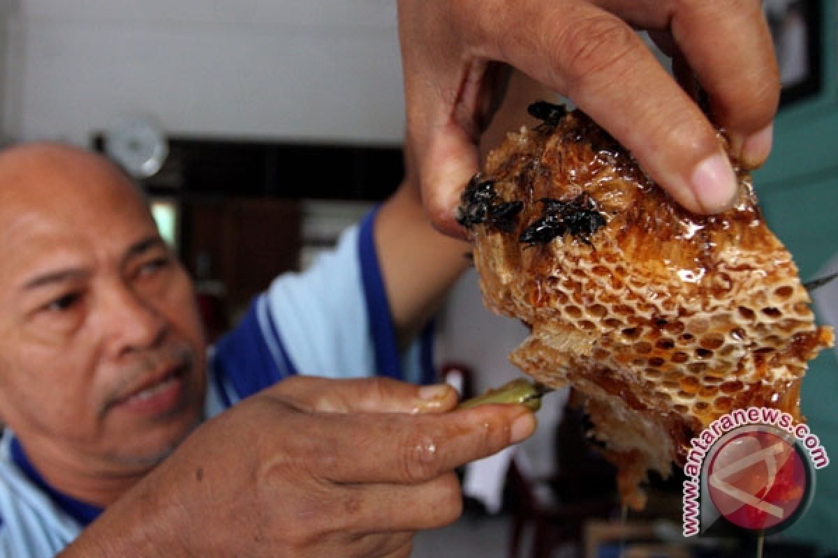 5.000 siswa SLTP ramai-ramai minum madu sumbawa