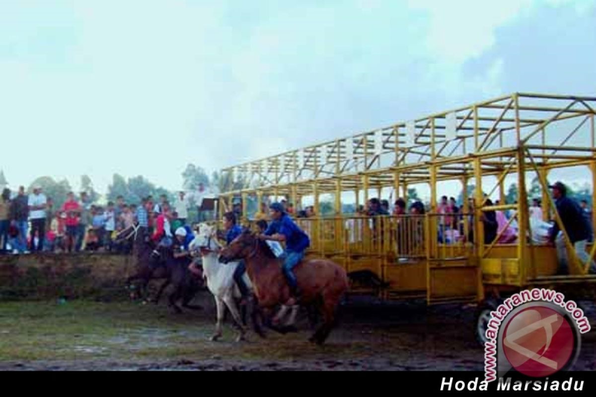 "Hoda Marsiadu" Pacuan Kuda Tradisi Siborongborong 
