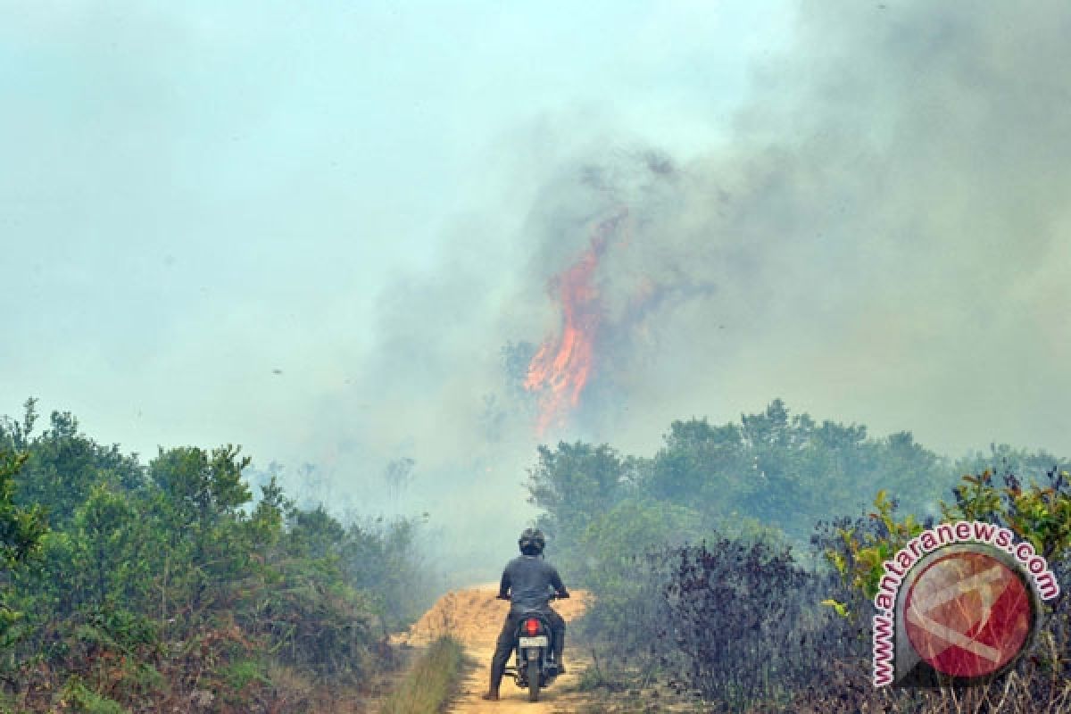 Riau police names five as suspects in forest fires