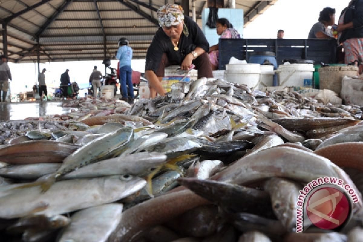 Makan Ikan Mengurangi Risiko Kebutaan