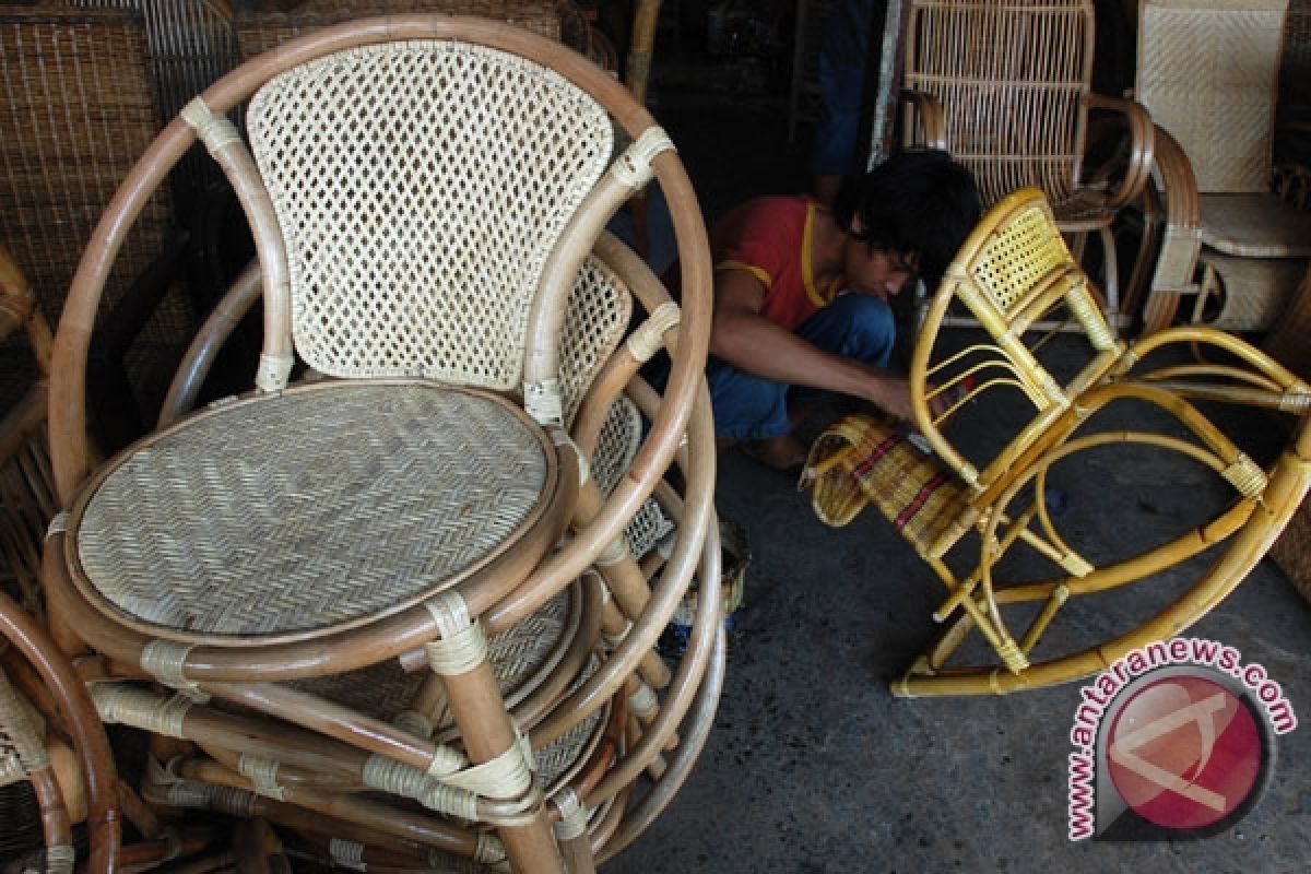 Quota hampers rattan exports