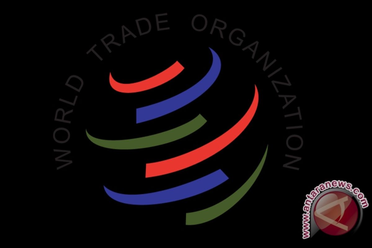 Indonesia proposes WTO term be removed from IGSSF text