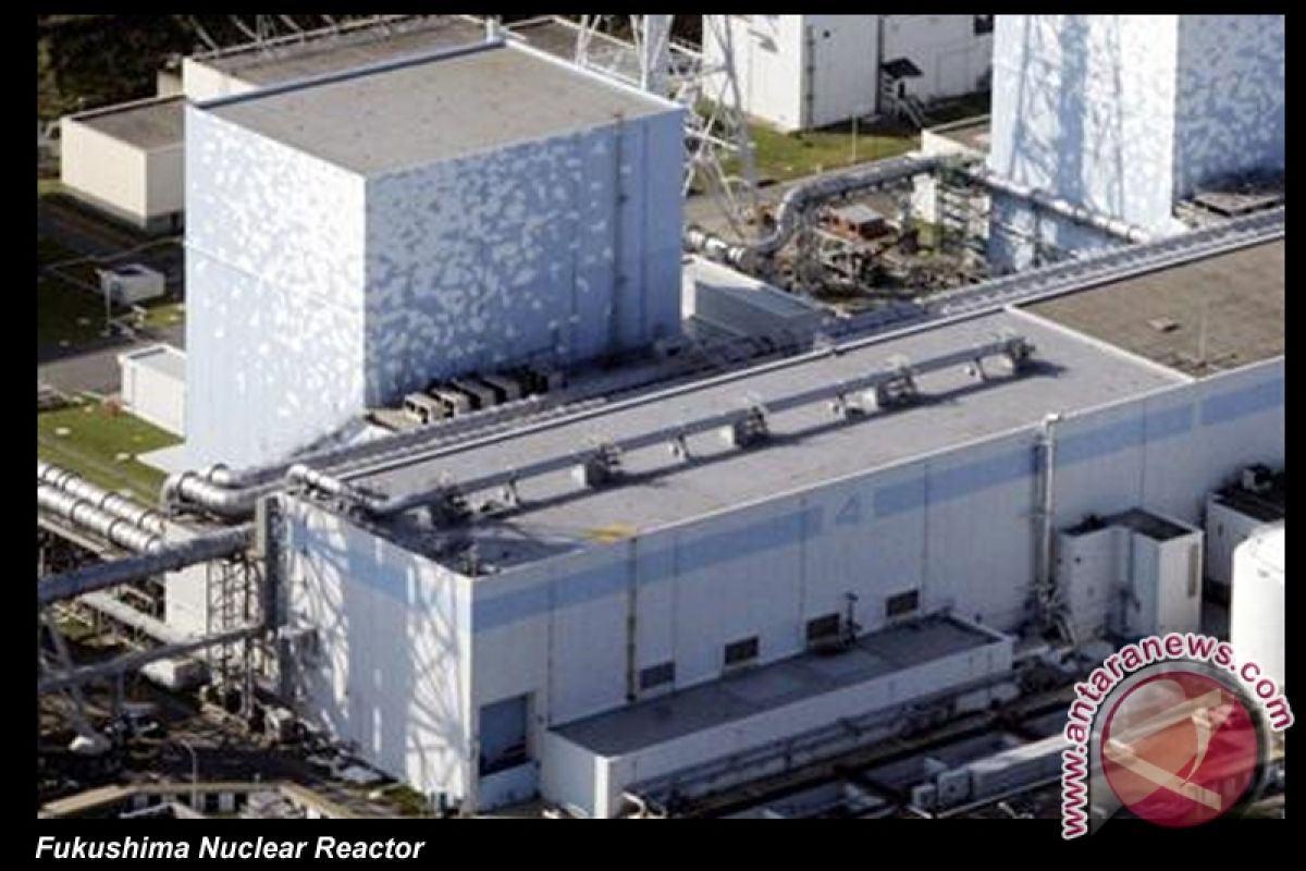 Bapeten: Limbah cair PLTN Fukushima harus di bawah ambang batas