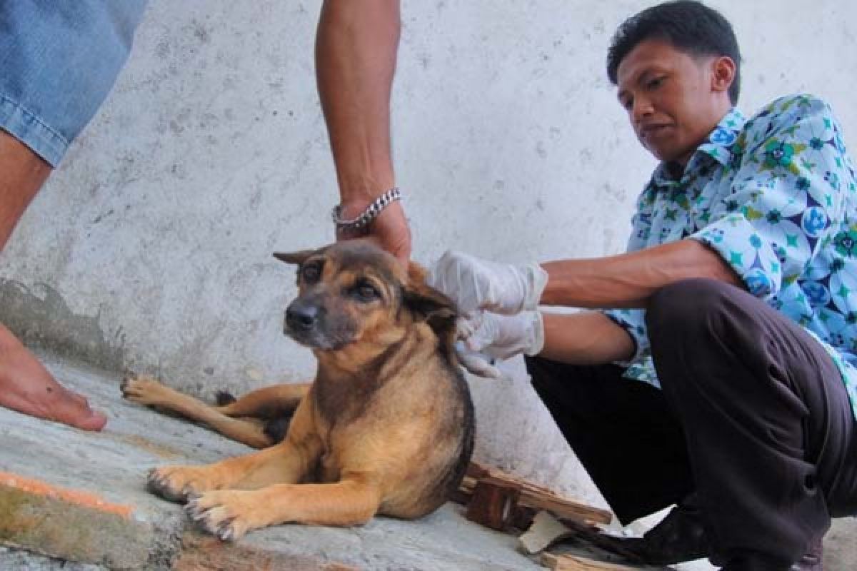 Pemkab Meminta Pemilik Vaksinasi Hewan Penular Rabies