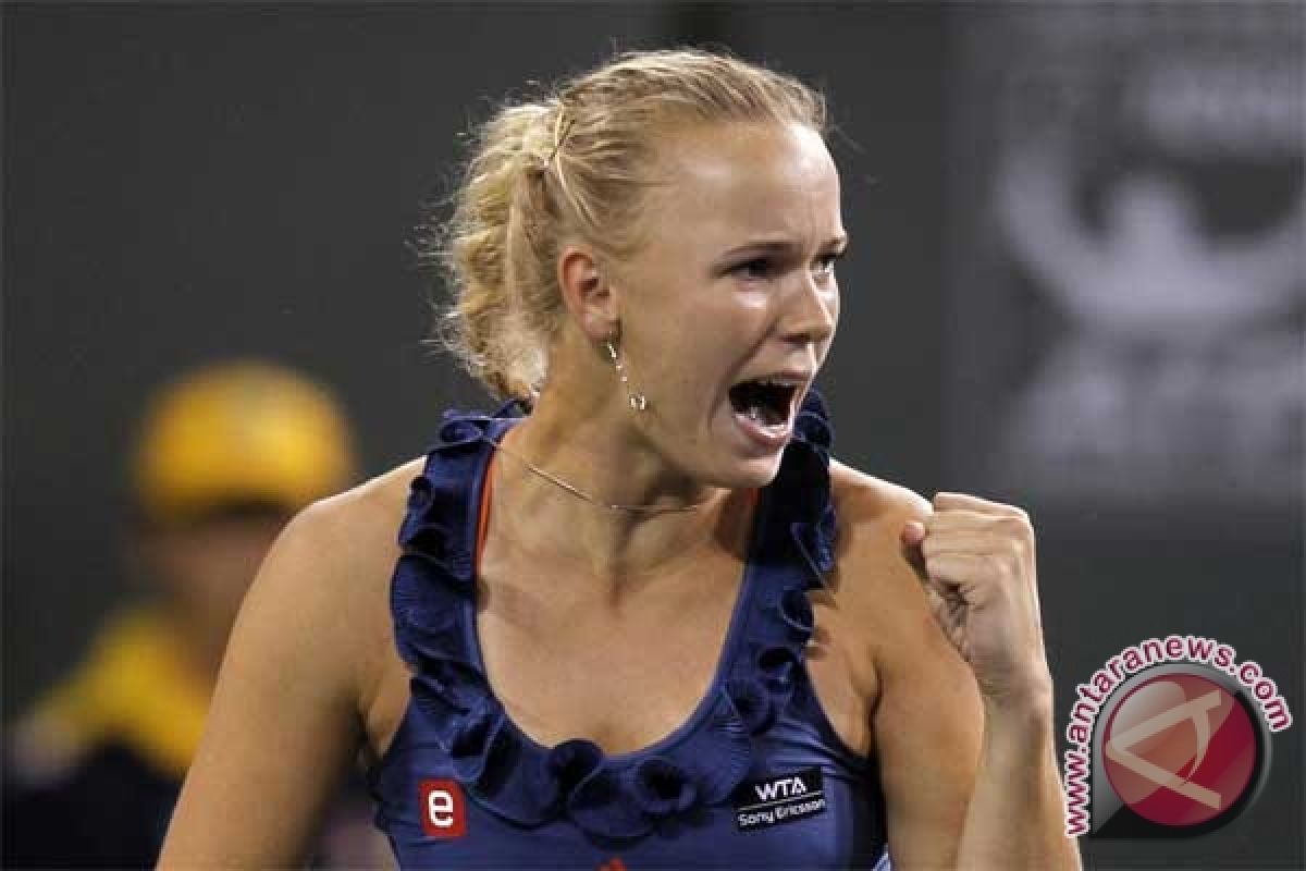 Wozniacki Kalahkan Schiavone di Semifinal Brussels 