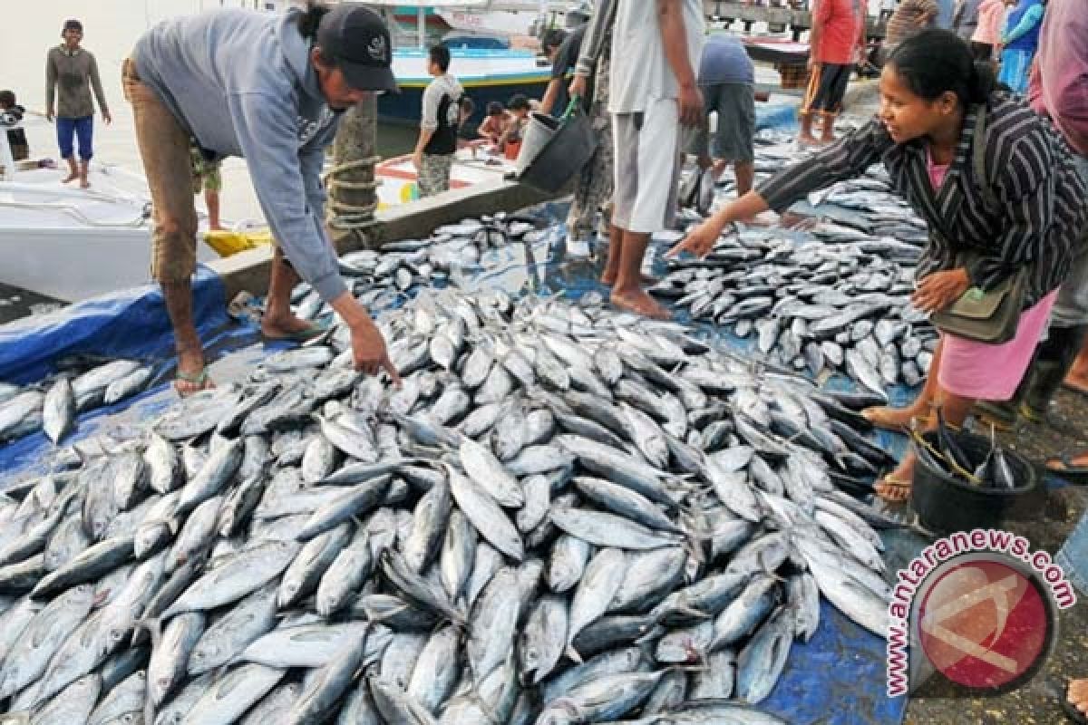 RI`s tuna exports to Japan down 50 percent