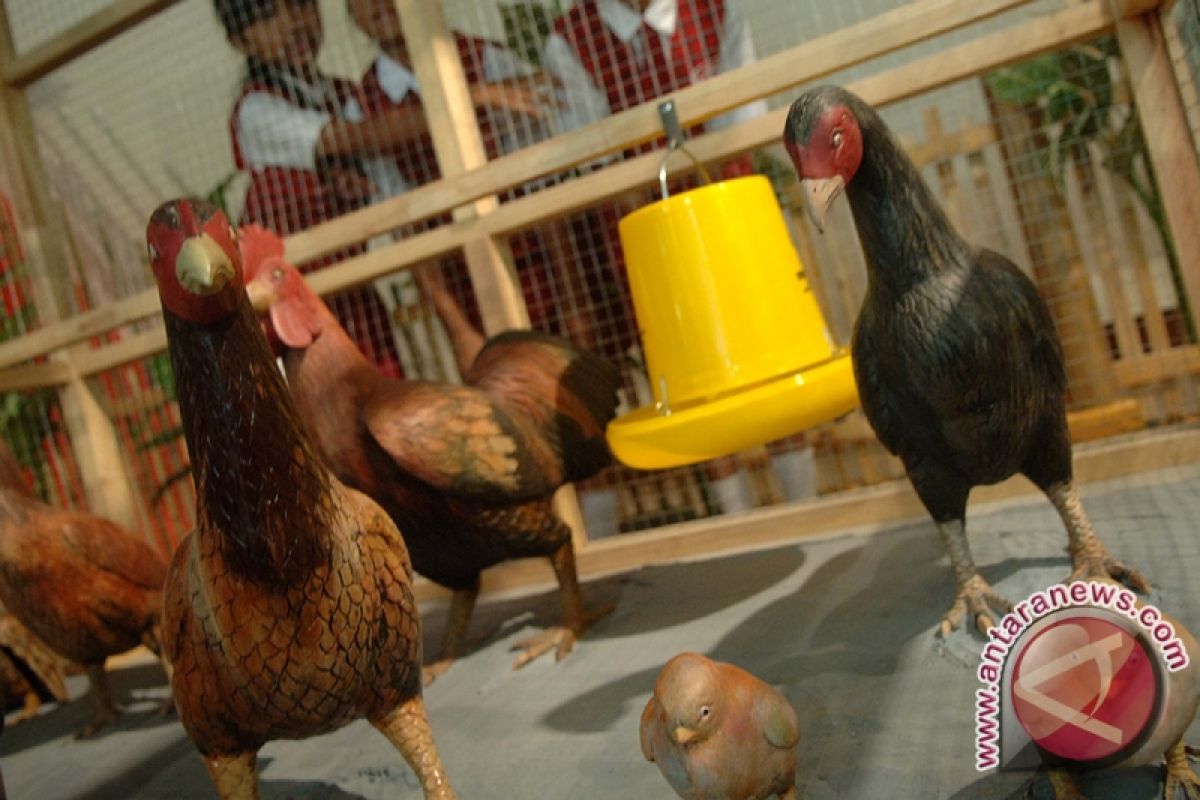 484 Ayam Mati Terserang Flu Burung