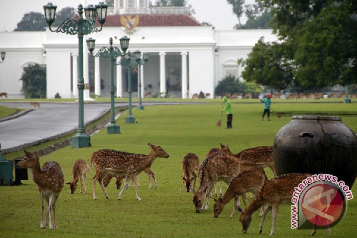 Bogor presidential palace opened to public