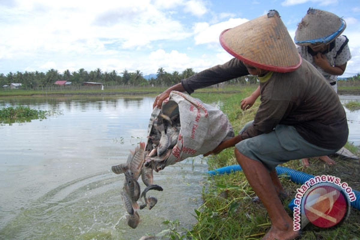 Predator hilang, pencemaran naik