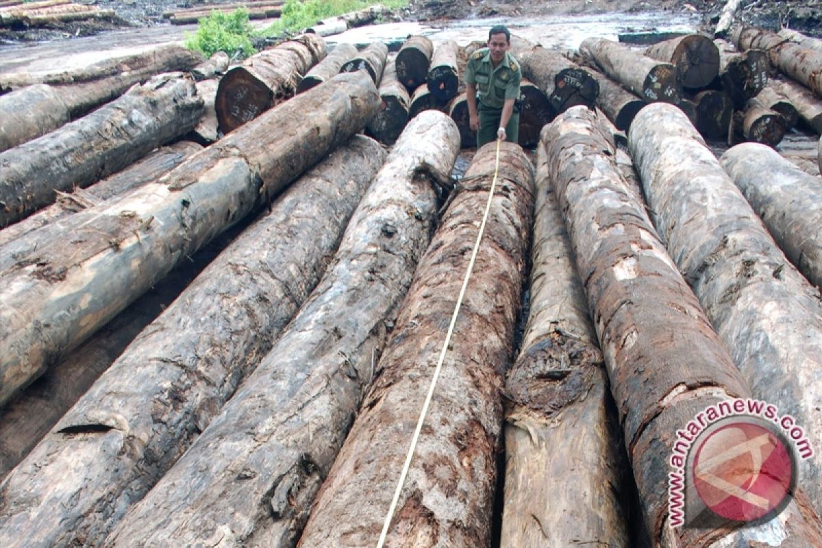Pembalakan hutan di Trenggalek mencapai 30 kasus
