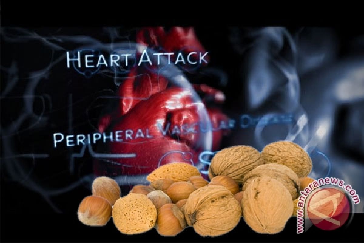 Kenari Kurangi Risiko Penyakit Jantung