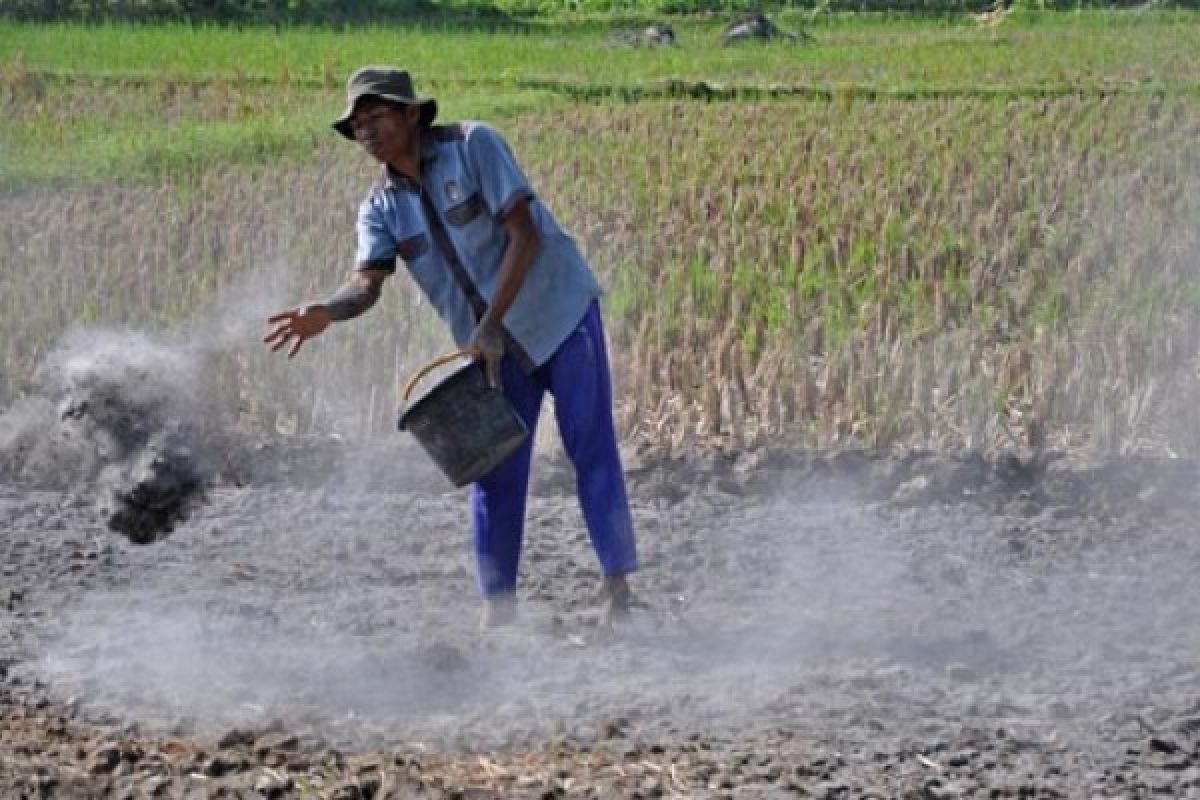 Terpopuler: Perhelatan internasional di NTB, harga emas Antam, hingga lahan 1,5 hektare untuk tanam padi