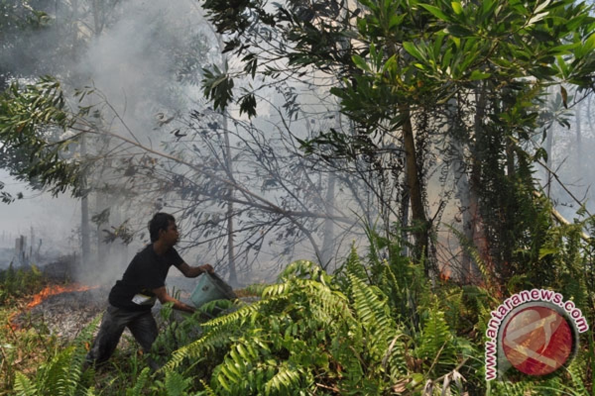 Lahan Terbakar di Kawasan Permukiman Kota Pontianak 