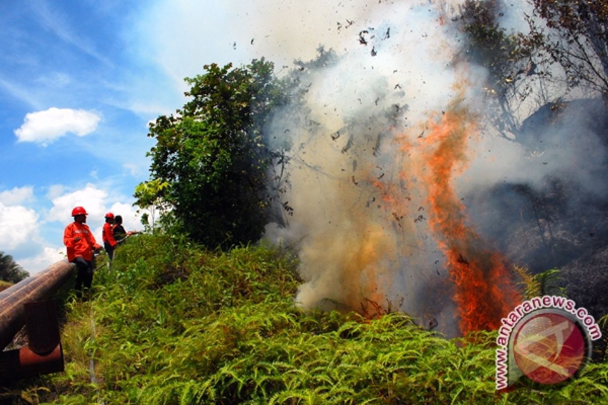 Agency detects 35 hotspots in Sumatra