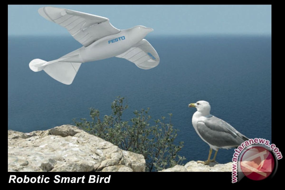 Robotic smart bird flies like real gull 