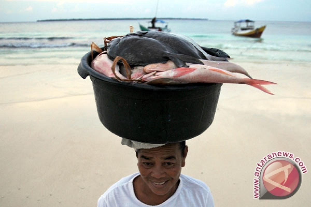 Paceklik laut, nelayan olah hasil tangkapan